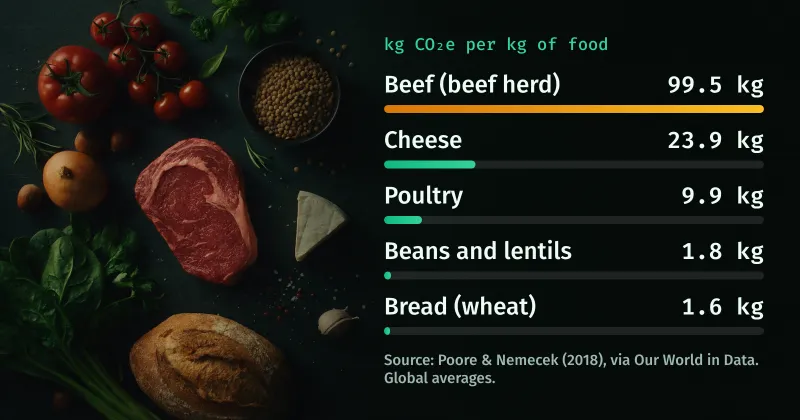 Beef, cheese, lentils, vegetables and bread on a dark table, beside a chart of kg CO₂e per kg of food: beef 99.5, cheese 23.9, poultry 9.9, beans and lentils 1.8, bread 1.6